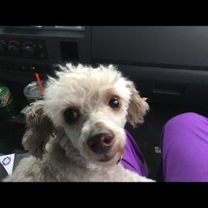 Meet your Posher, Kathy